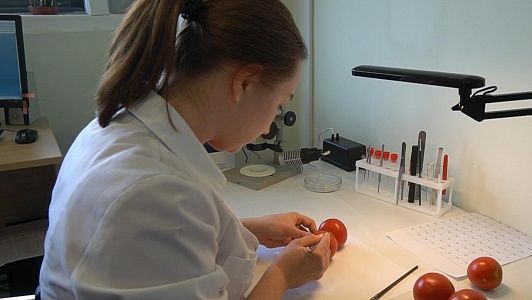 Фитосанитарный и ветеринарный контроль
